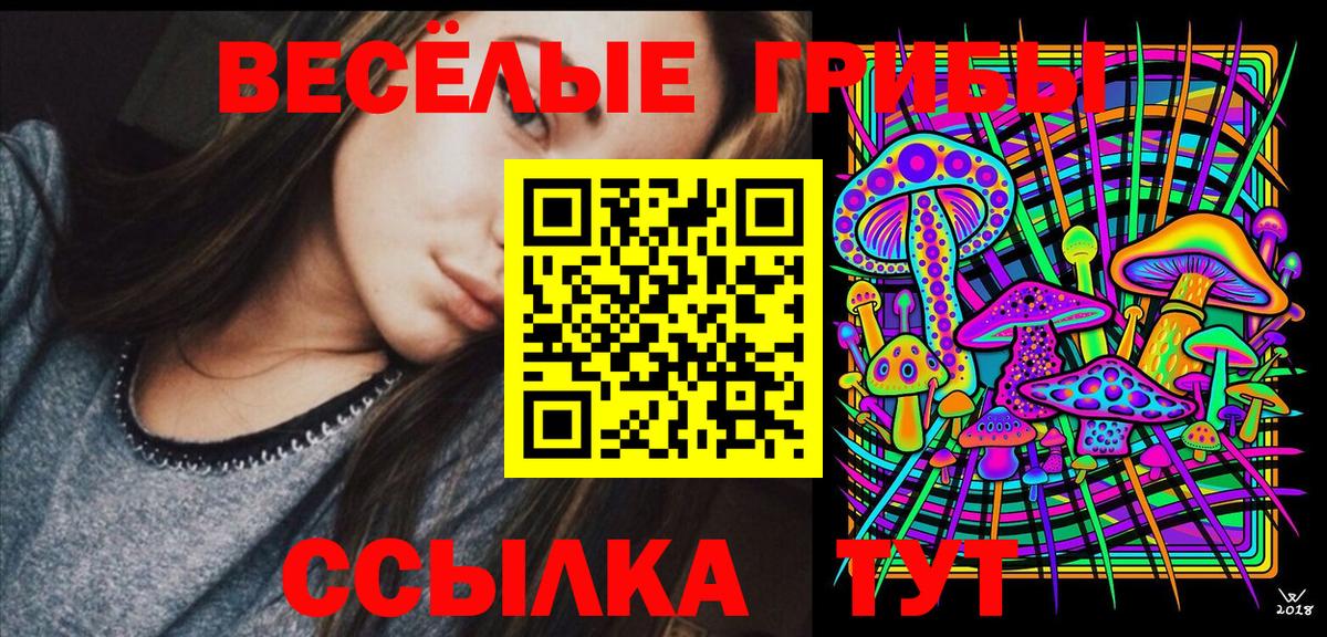 Галлюциногенные грибы Psilocybe Артёмовский